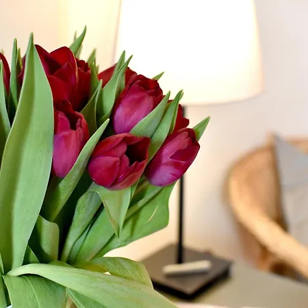 Apartmán Callas Budapešť