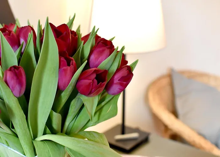 Appartement Callas Budapest